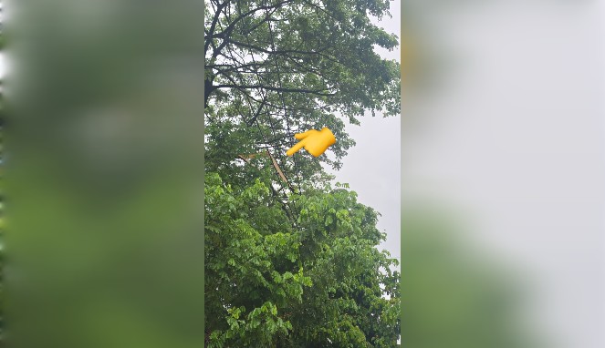 Jaringan Kabel Terganggu, Lampu Jalan di Kima IV Padam Sementara