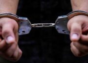 Terbongkar! Modus Mutilasi Sapi di Maros, Pelaku Dibekuk Polisi