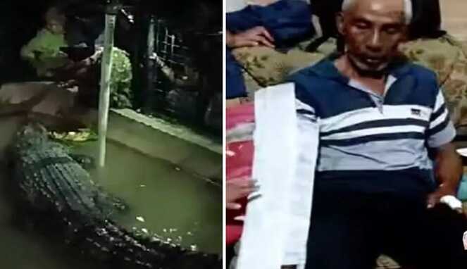 Nyaris Kehilangan Tangan, Pria 60 Tahun Diterkam Buaya di Cimory