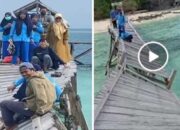 Demi Pasien, Nakes Sinjai Pertaruhkan Nyawa Lintasi Jembatan Lapuk