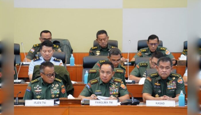 Penempatan Prajurit di Kementerian, Apa Dampaknya?