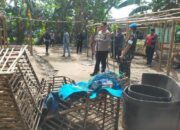 TNI-Polri Gerebek Dua Lokasi Sabung Ayam di Bontonompo Selatan, Arena Dibongkar dan Dibakar