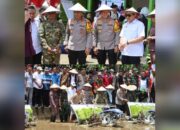 Kapolda Sulsel Hadiri Panen Raya Serentak di Bone: Dorong Ketahanan Pangan dan Sinergi Lintas Sektor