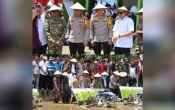 Kapolda Sulsel Hadiri Panen Raya Serentak di Bone: Dorong Ketahanan Pangan dan Sinergi Lintas Sektor
