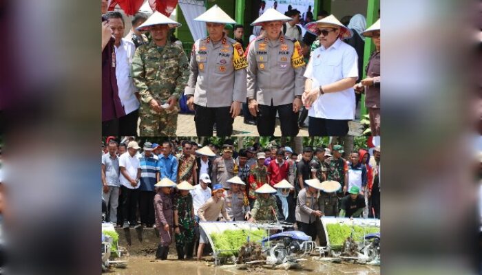 Kapolda Sulsel Hadiri Panen Raya Serentak di Bone: Dorong Ketahanan Pangan dan Sinergi Lintas Sektor