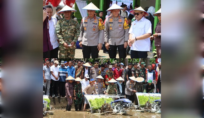 Kapolda Sulsel Hadiri Panen Raya Serentak di Bone: Dorong Ketahanan Pangan dan Sinergi Lintas Sektor