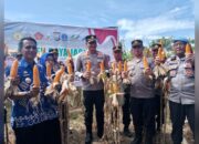 Kapolres Gowa Pimpin Panen Raya Jagung di Kecamatan Bajeng