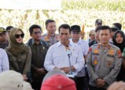 Dukung Swasembada Pangan, Kapolres Gowa Bersama Kapolda Sulsel Ikuti Panen Raya Jagung