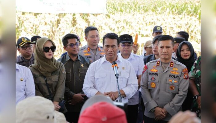 Dukung Swasembada Pangan, Kapolres Gowa Bersama Kapolda Sulsel Ikuti Panen Raya Jagung