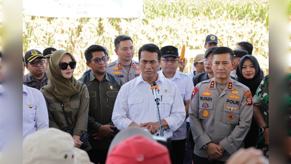 Dukung Swasembada Pangan, Kapolres Gowa Bersama Kapolda Sulsel Ikuti Panen Raya Jagung