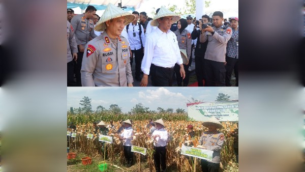 Irjen Rusdi Hartono Kapolda Sulsel Hadiri Panen Raya Jagung Bersama Forkopimda Gowa
