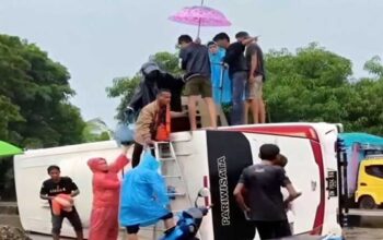 Bus Rombongan Umrah Terbalik di Jalan Poros Pangkep-Barru, Penumpang Selamat