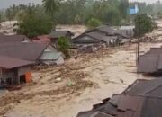 Korban Terus Bertambah, 303 Warga Tewas dalam Banjir Bandang Sumatra