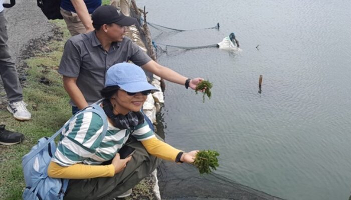 Positive Journalism, Ketika Berita Tidak Hanya Mengabarkan Masalah Tetapi Juga Solusi