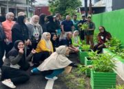 Panen Perdana RW 12 Batua Makassar, Sulap Lorong Jadi Kebun Produktif