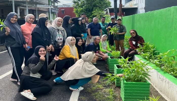 Panen Perdana RW 12 Batua Makassar, Sulap Lorong Jadi Kebun Produktif