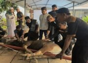 MaxOne Hotel Makassar Rayakan Idul Adha dengan Berbagi Daging Kurban