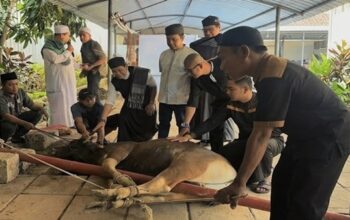 MaxOne Hotel Makassar Rayakan Idul Adha dengan Berbagi Daging Kurban
