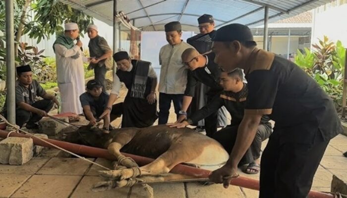 MaxOne Hotel Makassar Rayakan Idul Adha dengan Berbagi Daging Kurban
