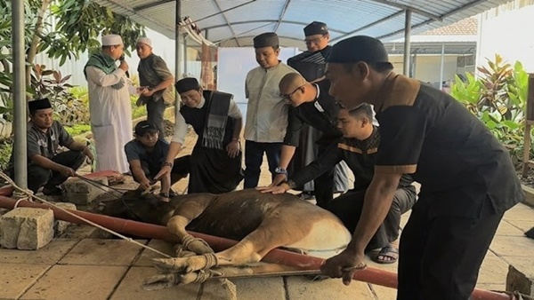 Sejumlah karyawan dan manajemen MaxOne Hotel & Resort Makassar bersama tokoh agama memegang hewan kurban sesaat sebelum prosesi penyembelihan di area sekitar hotel, Rabu (27/5/2026).