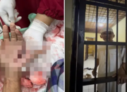 Tokoh Masyarakat Jeneponto Jadi Korban Brutal, Tangan Nyaris Putus Kini Mendekam di Sel