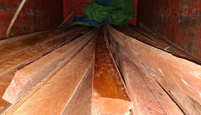 Kayu Tanpa Dokumen Diamankan KPH Rongkong, Sopir Diserahkan ke Polres